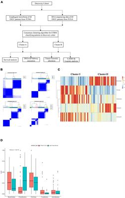 Comprehensive Genome-Scale Analysis of Esophageal Carcinoma With Esophageal Tissue-Resident Micro-Environment Discrepancy